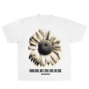 FACE THE SUN
